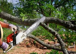 Best Lawn Watering Services  in Lombard, IL